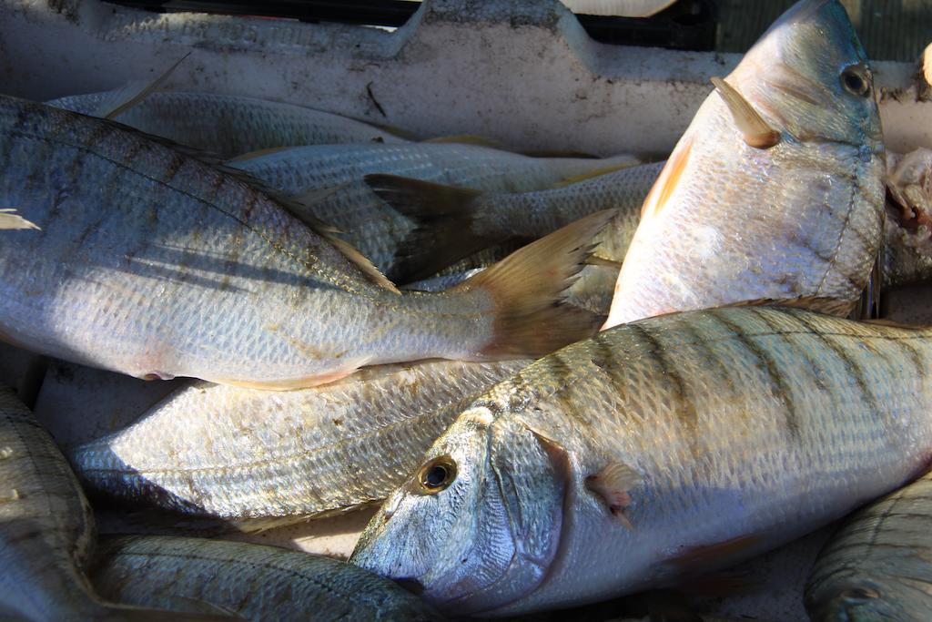 Il Pescatore Marinella di Selinunte Exterior foto